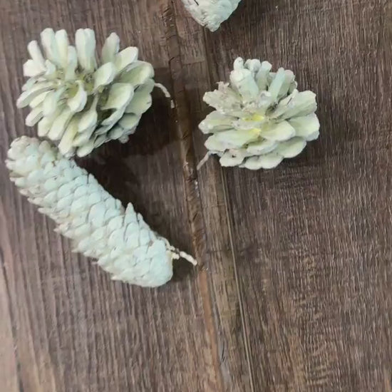 Rustic White Cream Pinecone Spray,  Greenery, Floral Supplies, Wreath Christmas Tree Picks, Wreath Embellishments, Christmas, Craft Supply