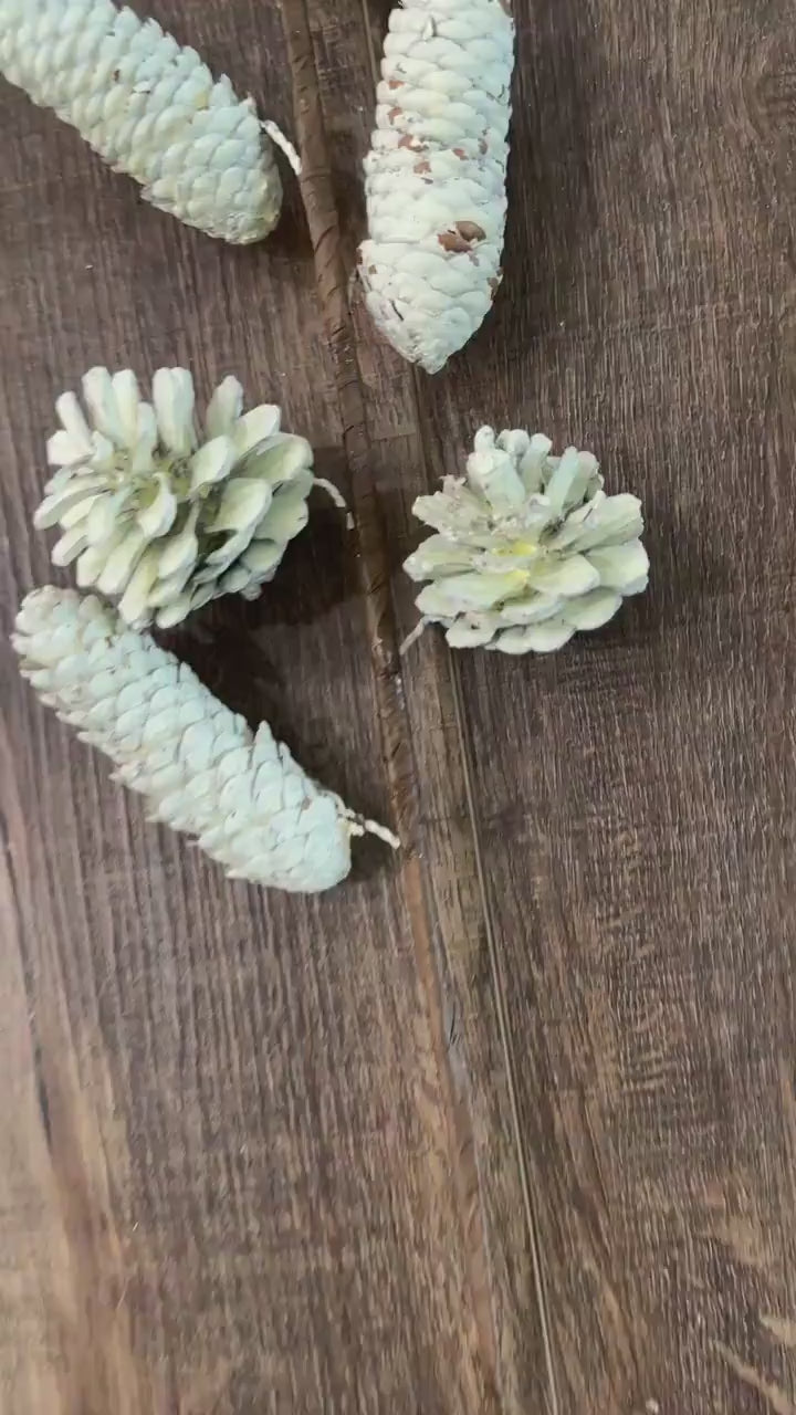 Rustic White Cream Pinecone Spray,  Greenery, Floral Supplies, Wreath Christmas Tree Picks, Wreath Embellishments, Christmas, Craft Supply