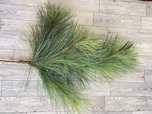 Long Needle Pine Spray, Greenery, Floral Supplies, Wreath Greenery, Christmas Pine Greenery, Picks,